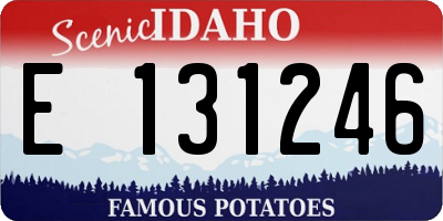 ID license plate E131246