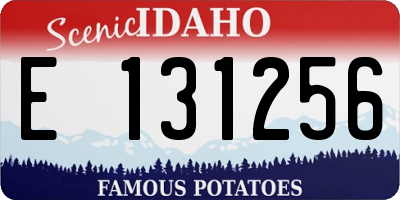 ID license plate E131256