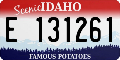 ID license plate E131261