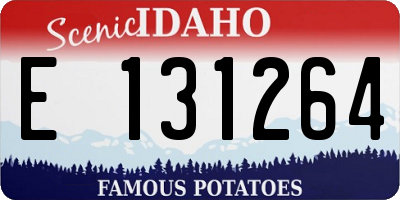 ID license plate E131264
