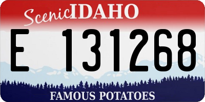 ID license plate E131268
