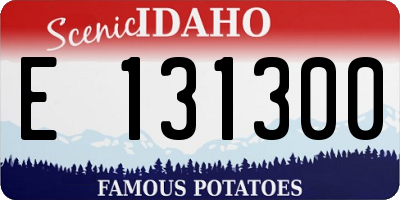 ID license plate E131300
