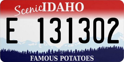 ID license plate E131302