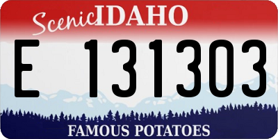 ID license plate E131303