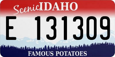 ID license plate E131309