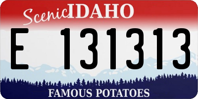 ID license plate E131313