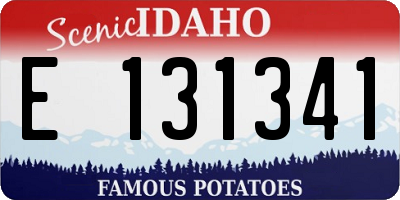 ID license plate E131341