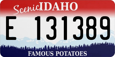 ID license plate E131389