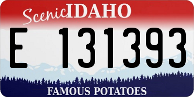 ID license plate E131393