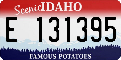 ID license plate E131395