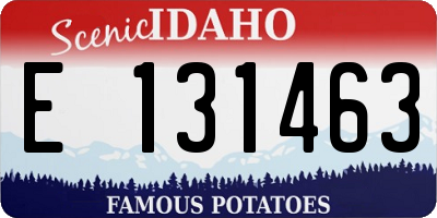 ID license plate E131463