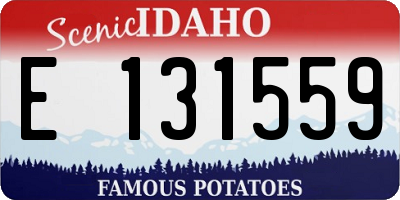 ID license plate E131559