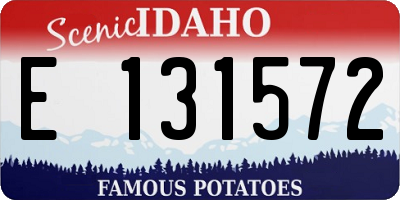 ID license plate E131572