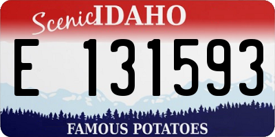 ID license plate E131593