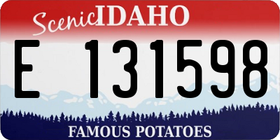 ID license plate E131598