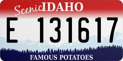 ID license plate E131617