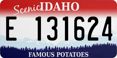 ID license plate E131624