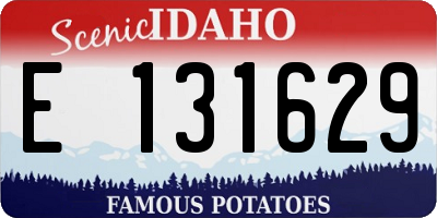 ID license plate E131629