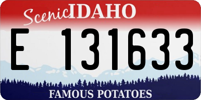 ID license plate E131633