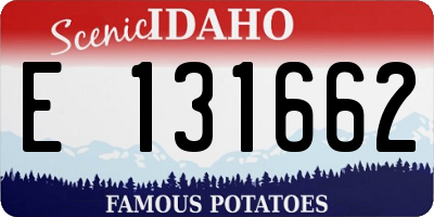 ID license plate E131662