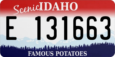ID license plate E131663