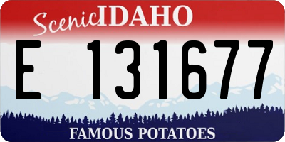 ID license plate E131677