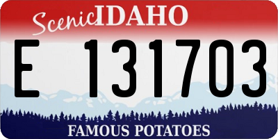 ID license plate E131703