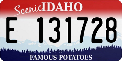 ID license plate E131728