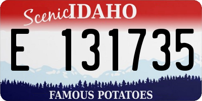 ID license plate E131735