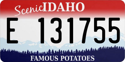 ID license plate E131755