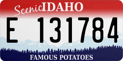 ID license plate E131784