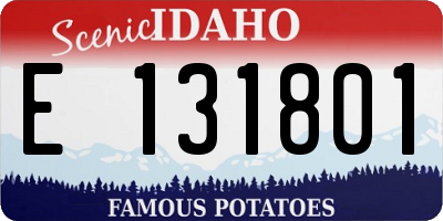 ID license plate E131801