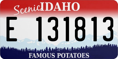 ID license plate E131813