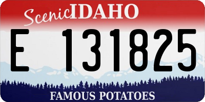 ID license plate E131825