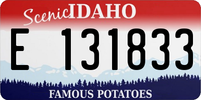 ID license plate E131833