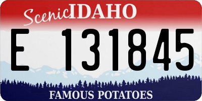 ID license plate E131845