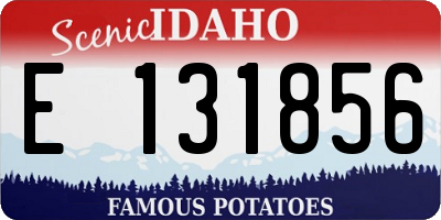 ID license plate E131856