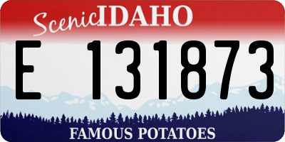 ID license plate E131873