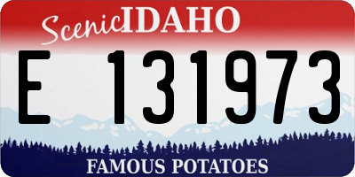 ID license plate E131973
