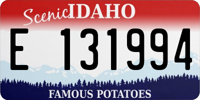 ID license plate E131994