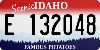 ID license plate E132048