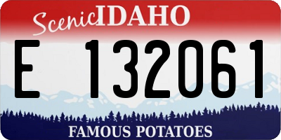 ID license plate E132061