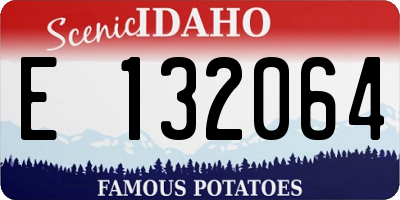 ID license plate E132064
