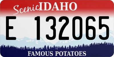 ID license plate E132065