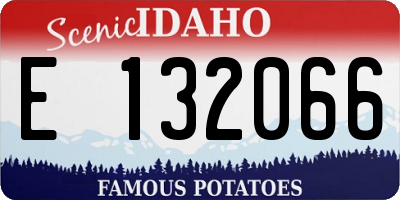 ID license plate E132066