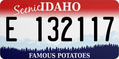 ID license plate E132117