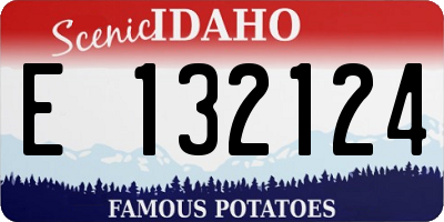 ID license plate E132124