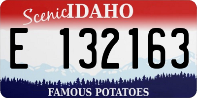 ID license plate E132163