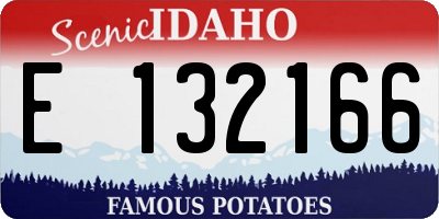 ID license plate E132166