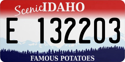 ID license plate E132203